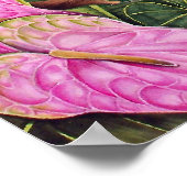 Poster Cockatoos à pâte sulfurée (Coin)