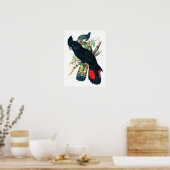 Poster Cockatoos à queue rouge, Noir (Banksien). (Cuisine)