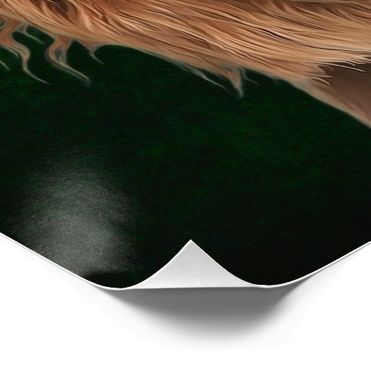 Poster Cocker Spaniel (Coin)