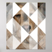 Poster Cocker Spaniel (Devant)