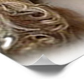 Poster Cocker spaniel (Coin)