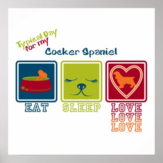 Poster Cocker Spaniel (Devant)