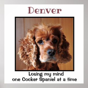 Poster Cocker Spaniel avec devis Custom Wall Art