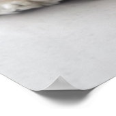 Poster Cocker spaniel chien dormir (Coin)