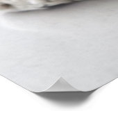 Poster Cocker spaniel chien dormir (Coin)