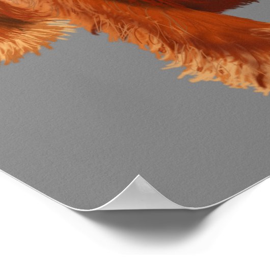 Poster Cocker Spaniel Cowboy (Coin)