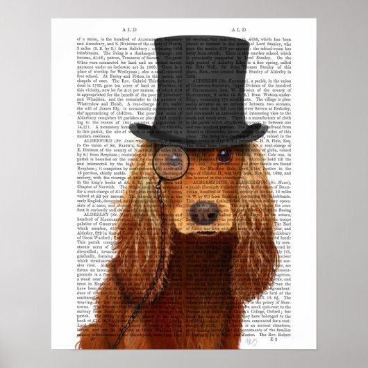 Poster Cocker Spaniel, Hound officiel et Casquette (Devant)