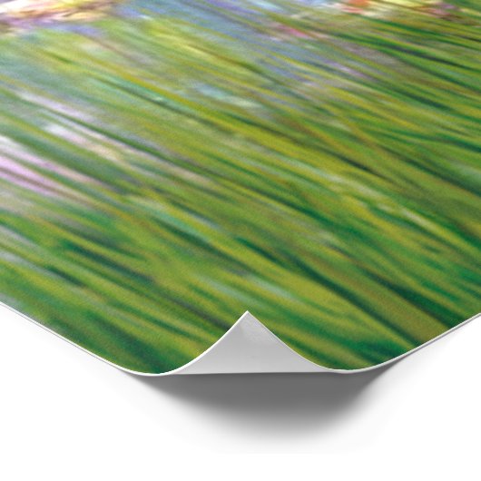 Poster Cocker Spaniel (noir) - Lys 2 (Coin)