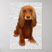 Poster Cocker Spaniel Plain (Devant)
