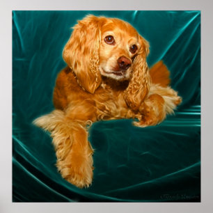 Poster Cocker Spaniel Puppy Dog