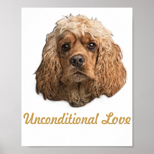 Poster cocker Spaniels (Devant)