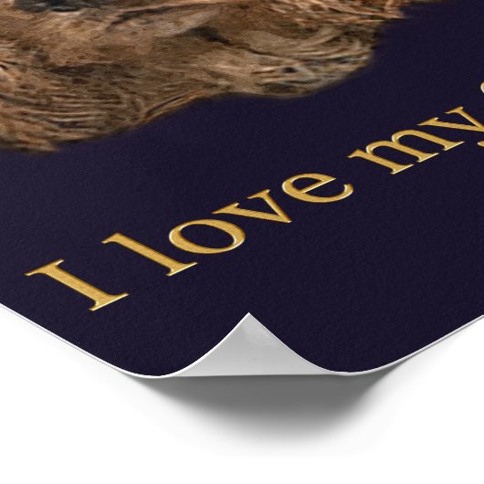 Poster cocker Spaniels (Coin)