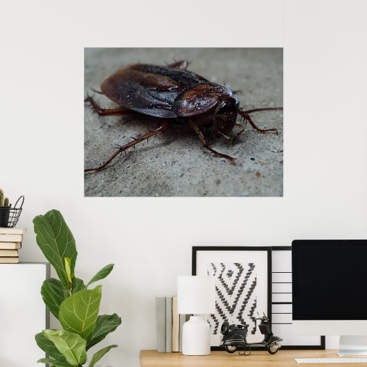 Poster Cockroach (Bureau à domicile)