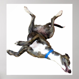 Poster Cockroaching