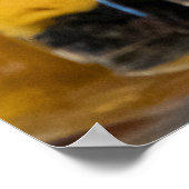 Poster Cocktails de fruits (Coin)