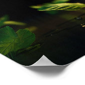 Poster Cocktails Mojito (Coin)