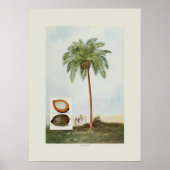 Poster Coco (Devant)