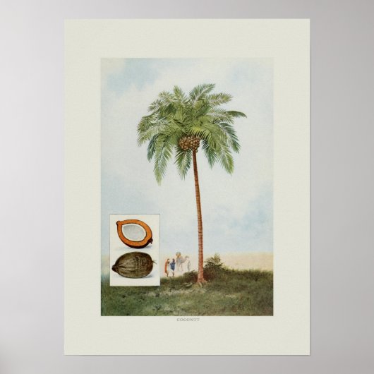 Poster Coco (Devant)