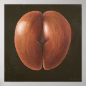 Poster Coco de Mer Maldives 2012 (Devant)