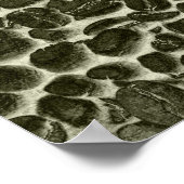 Poster cocoa coffee beans (Coin)