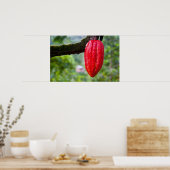 Poster cocod (Cuisine)