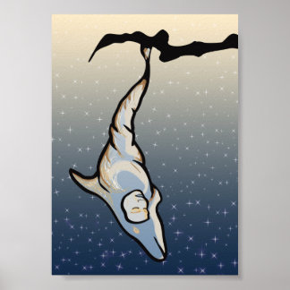 Poster cocon dauphin