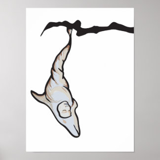 Poster cocon dauphin