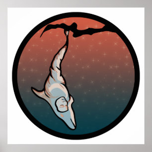 Poster cocon dauphin étoilé