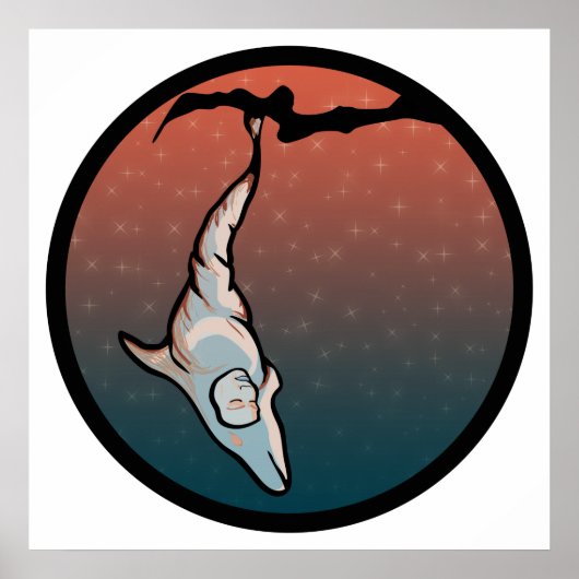 Poster cocon dauphin étoilé (Devant)