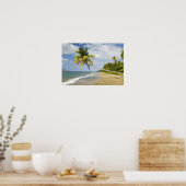 Poster Coconut Grove Beach à Cades Bay, avec St. 2 (Cuisine)