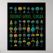 Poster Coconut Grove Floride (Devant)