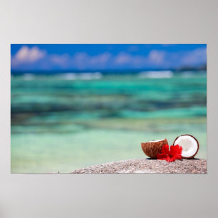 Poster Coconut with tropical flower on exotic coast