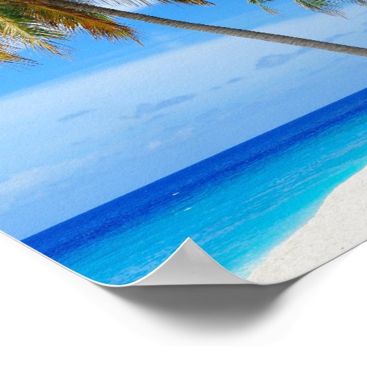 Poster Cocotier de plage (Coin)
