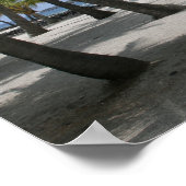 Poster Cocotiers au lieu de refuge, Hawaii - Imprimer (Coin)