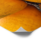 Poster Cocotiers d'or (Coin)