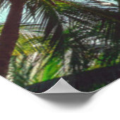 Poster Cocotiers palmiers sur la plage (Coin)