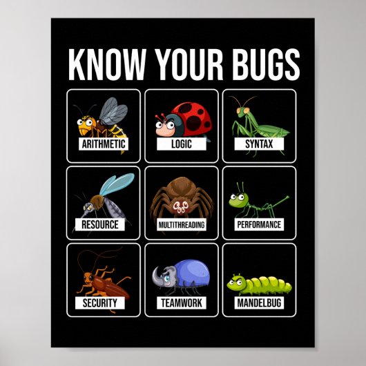 Poster Codage du programmeur Connaissez vos bogues (Devant)