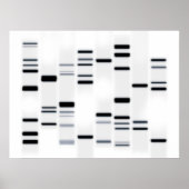 Poster Code ADN noir sur blanc (Devant)