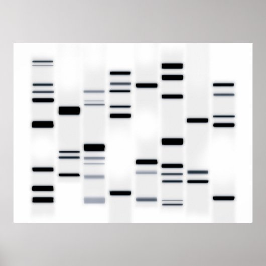 Poster Code ADN noir sur blanc (Devant)