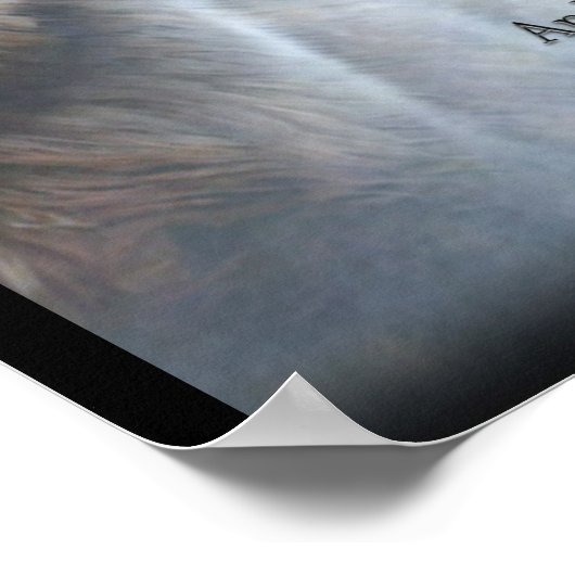 Poster Code du loup (Coin)