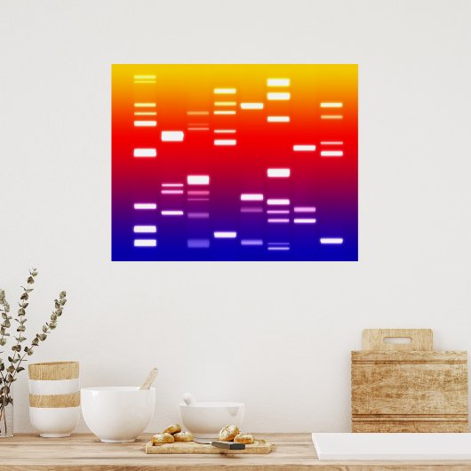 Poster Code génétique ADN arc-en-ciel (Cuisine)