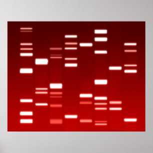Poster Code génétique ADN rouge