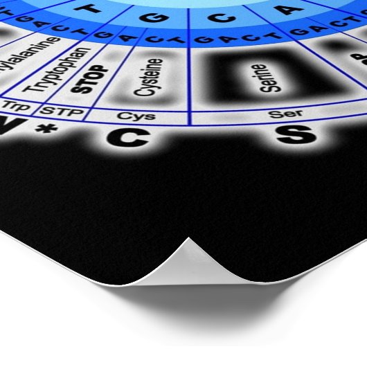 Poster Code génétique génétique Cercle Gène Codon Amino A (Coin)