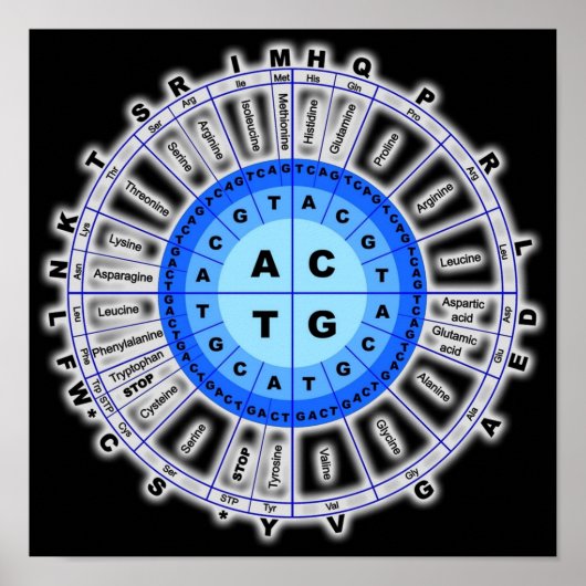 Poster Code génétique génétique Cercle Gène Codon Amino A (Devant)