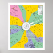 Poster Code Génétique Pour Les Acides Aminés (Roue Graphi (Devant)