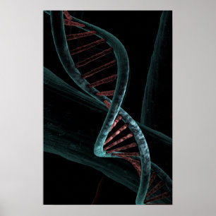 Poster Code microscopique de vie ADN double hélix