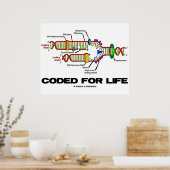 Poster Codé Pour La Vie (Réplication De L'ADN) (Cuisine)