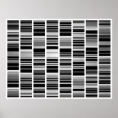 Poster Codex (Devant)