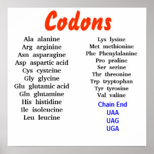Poster Codons