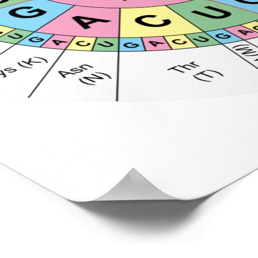 Poster Codons Amino Acids Table Code génétique ADN (Coin)